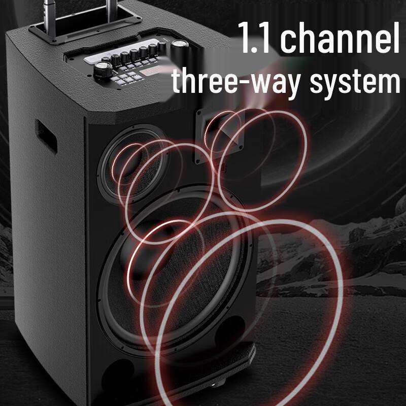 Shanshui L10 Portable Karaoke Speaker