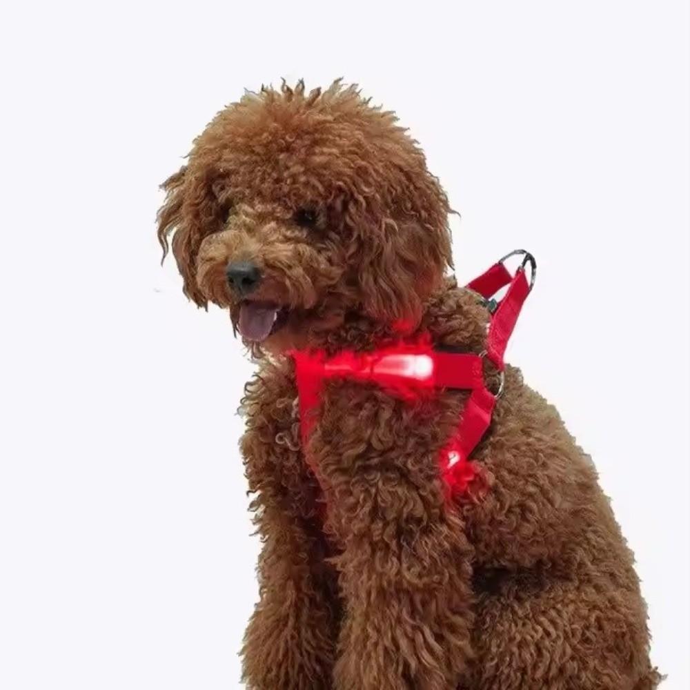 Durable Light Up LED Dog Harness Adjustable Rechargeable Luminous Pet Chest Strap Soft Flashing Dog Glowing Vest Pet Safety