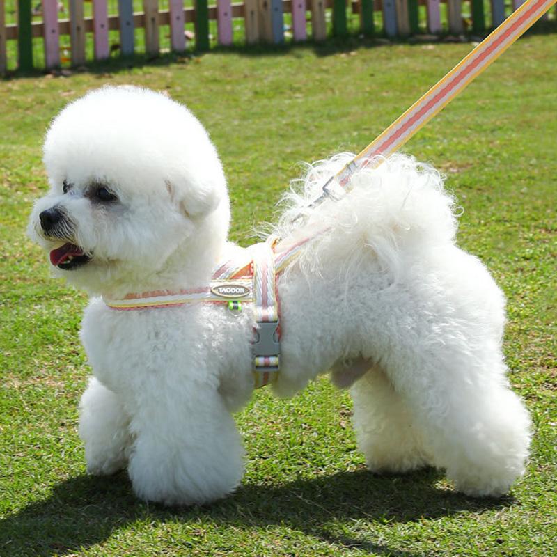 Комплект поводков и шлейки для щенков корги в стиле седла, переносные шлейки для маленьких и средних собак, аксессуары, принадлежности