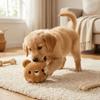 Bite Resistant Plush Dog Toy Ball Soft Squeaky Dog Toy Cute Dog Training Toy Ball  Fetch Play