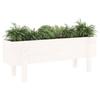 VidaXL Raised Garden Bed White 101x30x38 Cm Solid Pine Wood 825185