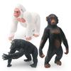 Supply Simulation Forest Animals 3 Types Of Orangutan Model White Orangutan Chimpanzee Solid Static Ornament Toys