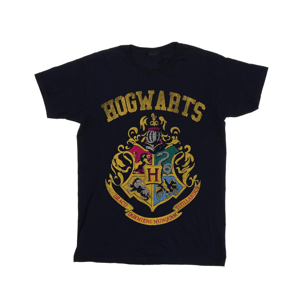 HARRY POTTER Мужская футболка Hogwarts Varsity