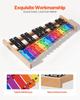 Glockenspiel Xylophone, 27 Notes, Professional Xylophone Percussion Instrument, with Colorful Metal Keys, Includes 4 Mallets, Carrying Bag, Beginner