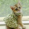 Pet Clothes Spring/Summer Small Cat/Dog Small Daisy Shoulder Strap Princess Dress Pet Clothes Kitten/Dog Gentle Dress
