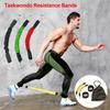 Elastic Resistance Bands 20LB-80LB Elastic Training Band Taekwondo Training Belt  Gym Equipment