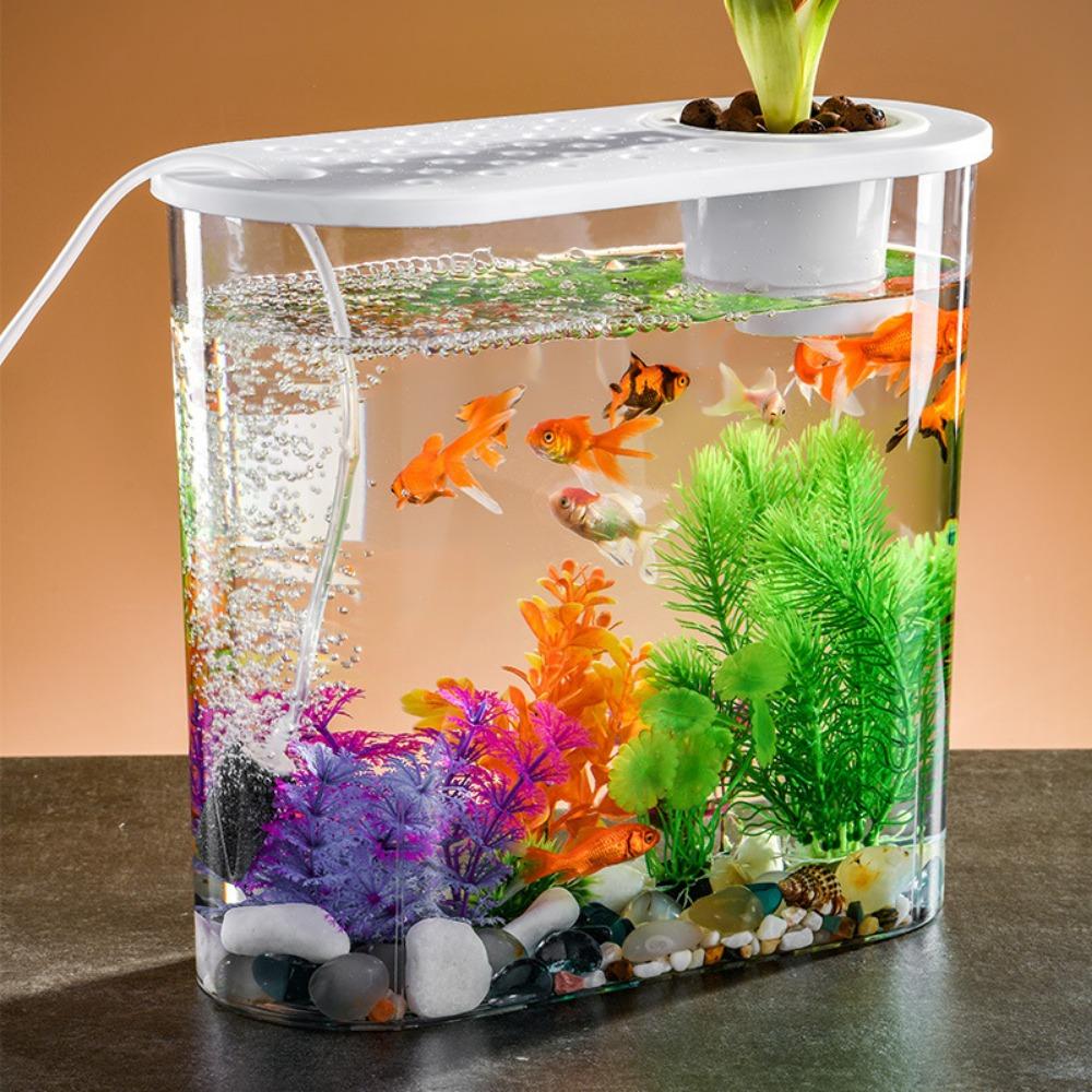 Transparent Aquaponic Fish Bowl Removable Plastic Hydroponic Fish Tank Goldfish Tank Table