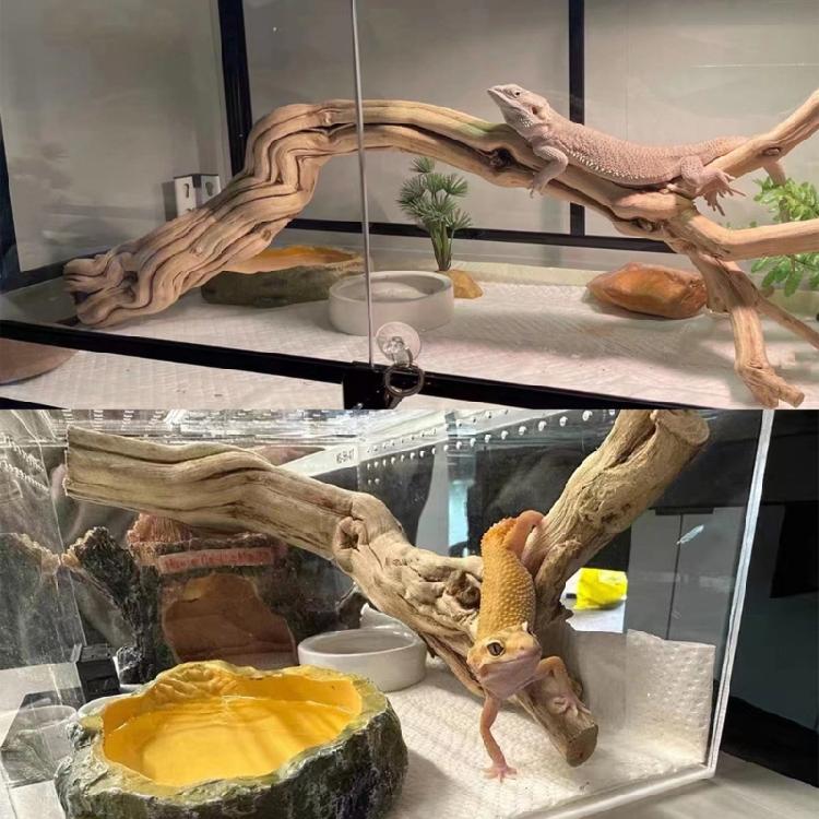 Reptiles Trunk Cave Natural Aesthetic Breeding Driftwood for Reptiles Wood Climbing Habitats Supplies