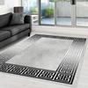 Washable Printed Carpet RVGHOME0365