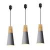 Adjustable Length Pendant Light for Duct Rails, Perfect for Dining Rooms, Entryways, Bathrooms, Kitchens, and Japanese-style Rooms. This Stylish,