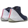 Air Jordan Why Not Zer0.1 'Tribute' Men's AA2510-431