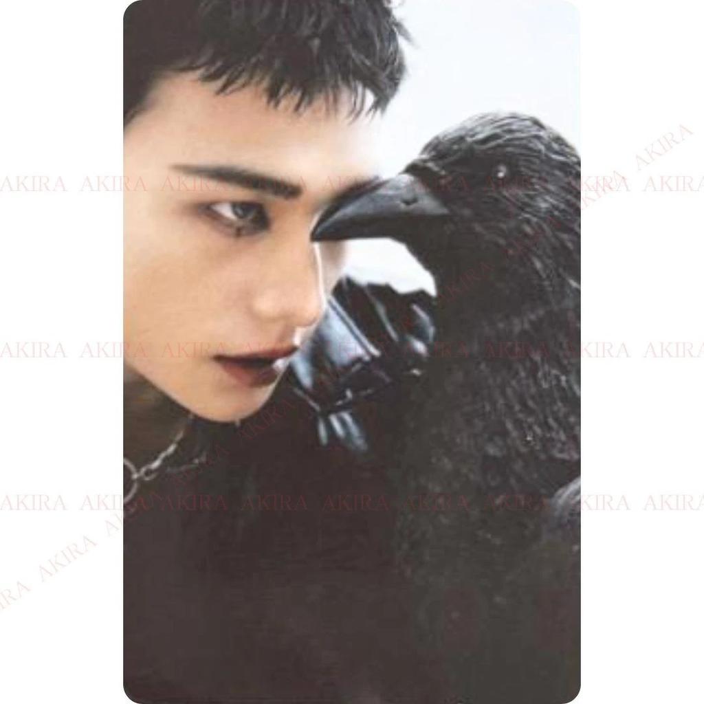 STRAY KIDS SKZ IT TAPE DO IT Альбом Фотокарточка ЯПОНИЯ POB ОФИЦИАЛЬНАЯ