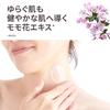 Steamcream Official Jasmine Evening Primrose 75g Made in Japan Moisturizing Cream for and Hand Care Natural Essential Oils Natural Ingredients Vegan