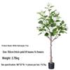 Luxurious Hydrangea Floor Plant - Elegant Green Indoor Decor for Living Rooms