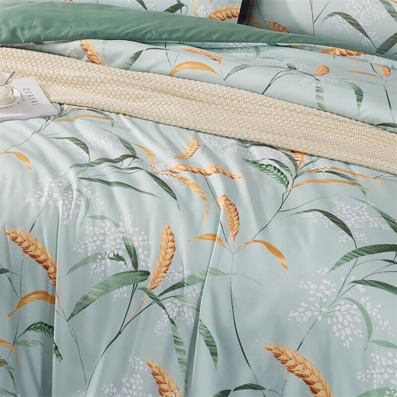 A-TIMES Laurenla Brushed 4-Piece Bedding Set