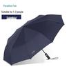 Paradise Automatic 10-Rib Windproof Folding Umbrella 38057E