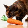 Игрушка для кошки Морковь Звук Товары для питомцев Устойчивый к укусам Скребок из бумажной веревки Чистка зубов Интерактивная игра Кошачья морковь Жевательная игрушка для кошки