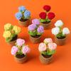 Crochet Rose Flowers Potted  Knitted Flower  Creative Artificial Flower Sunflowers Table Decor Crochet Pot Plant