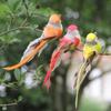 12Pcs Cute Artificial Feather Robin Birds Christmas Decorations