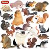 Oenux Wild Animals Simulation Rodent Marmot Mouse Model Squirrel Rat Chinchilla Action Figure Figurine Collection Cute Kid Toy