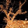 20M 200LED солнечные гирлянды уличные водонепроницаемые солнечные фонари с солнечной панелью для сада, двора, патио, лужайки, свадебного сада
