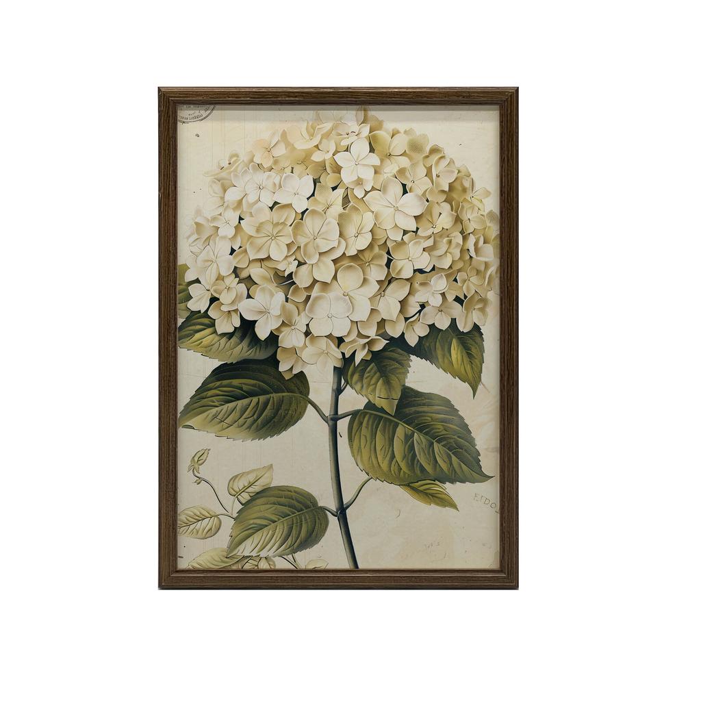 Klasyczna Hortensja Klasyczna Hortensja, 50X70 Cm, Bez Ramy, Papier Matowy 230 Gsm