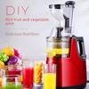 Large Diameter Multifunctional Fruit and Vegetable Juicer with Residue Separation