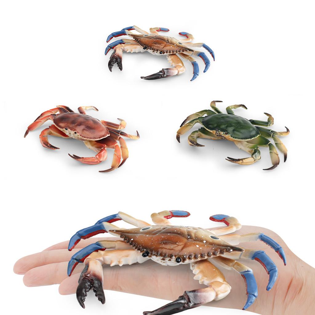 Marine Life Crab Replica For Kids Learning Aquarium Decoration Pvc Collectible