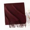 New Solid Color Maillard Imitation Cashmere Scarf for Women Autumn and Winter High End Warm Shawl Simple Scarf