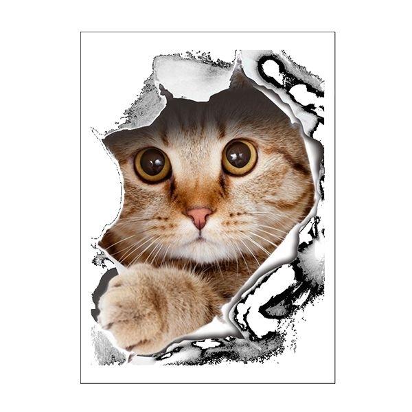 Кошка сквозь стену наклейка