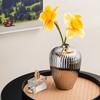 Floral Arrangement Flowerpot Minimalism Tabletop Decor Ceramic Electroplated Vase  Home Decor