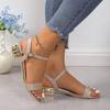 Spring and Autumn New Style Fashionable, Comfortable, Versatile Elegant Casual Round Toe Versatile Thick Heel Sandals