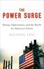 Книга The Power Surge : Energy, Opportunity, and the Battle for America's Future