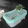Mini Turtle Tank With Basking Platform 5 Area Design Translucent Tortoise Box Habitat Breeding Tools