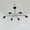 Brass Sputnik Chandelier 6-Light Mid Century Modern Starburst Light Gift