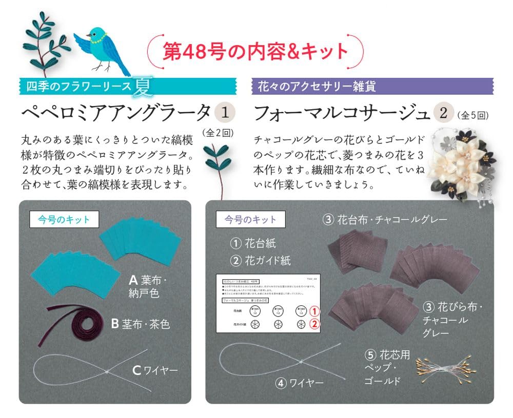 Веселый Цумаму Дзаику 48 Но. [Энциклопедия] (с комплектом)