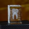 3D Scientific and Educational Solid Crystal Laser Engraving Tooth Model Decoration