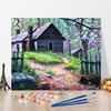 Искусство DIY Картина по номерам Цифровая картина маслом Домашний декор Картина по номерам Алмазная картина Картина маслом Хобби