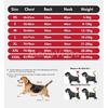 Christmas Large Dog Hooded Jacket Wind‑proof Snow‑resistant Heat‑locking Warm Winter Pet Coat for Golden Retriever Border Collie