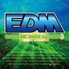 CD РАЗНЫЕ - EDM Electronic Dance Madness 3 TOCP64420 Earthbeat 2013 Япония Танцевальная и Электронная Музыка Б/У