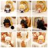 10СМ Назад в будущее Султан Морская Звезда Печенье Цинь Чэ Нуну Кукла