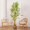 Bionic Bamboo Decor: New Chinese Style Faux Bamboo Plant for Living and Tea Rooms