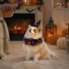 Pet Witch Hat And Scarf 1 Set Halloween Cat Costume, Wizard Lace Bandana, Ruffled Bib Funny Accessories with Bow Bell, Holiday Party Outfit for Small