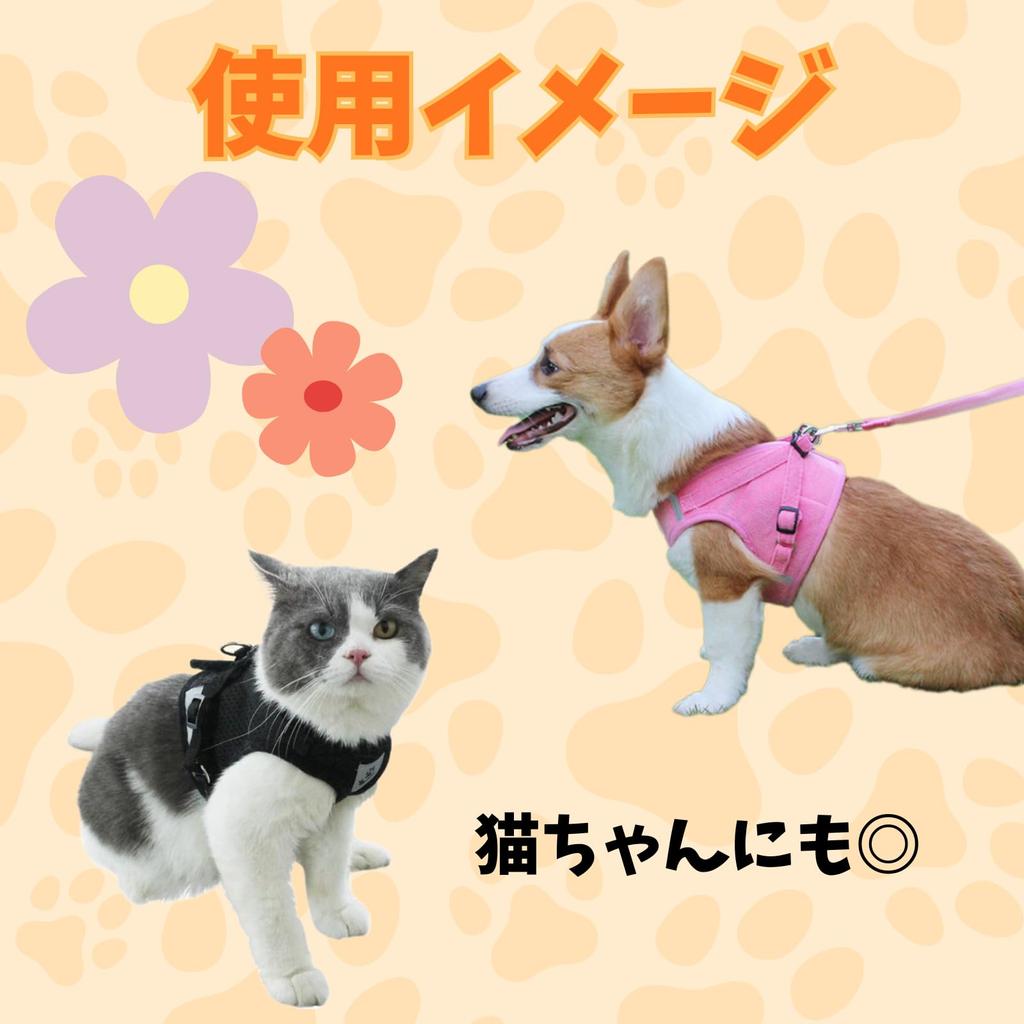 Dog Harness with Leash for Small and Medium Durable and Easy To Soft Cute and and Easy To Put On Size Dogs, Wear, Mesh, Stylish, Adjustable, (Gray, L)