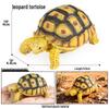 Ocean Wildlife Simulation Toy Set: Sea Turtle, Shark, Whale, Sea Lion, Tiger Shark, Manta Ray, Seal, Grouper.