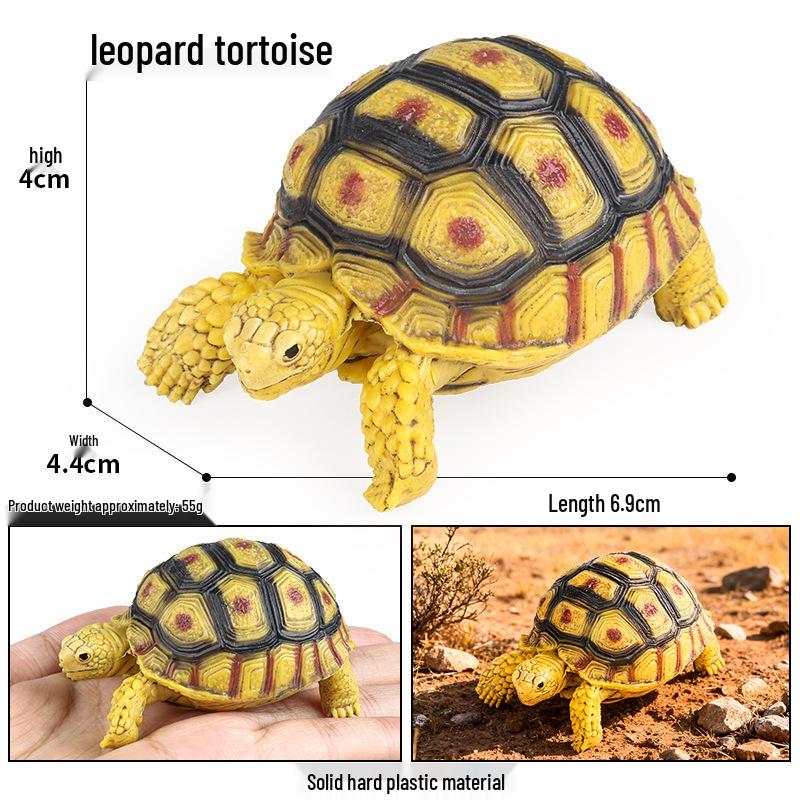 Ocean Wildlife Simulation Toy Set: Sea Turtle, Shark, Whale, Sea Lion, Tiger Shark, Manta Ray, Seal, Grouper.