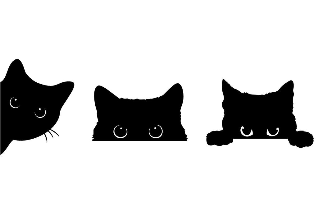 Кот Кот Кот Смешная Пародия Наклейка Наклейка для Прихожей, Двери, Автомобиля, Мотоцикла и т.д.. Качество