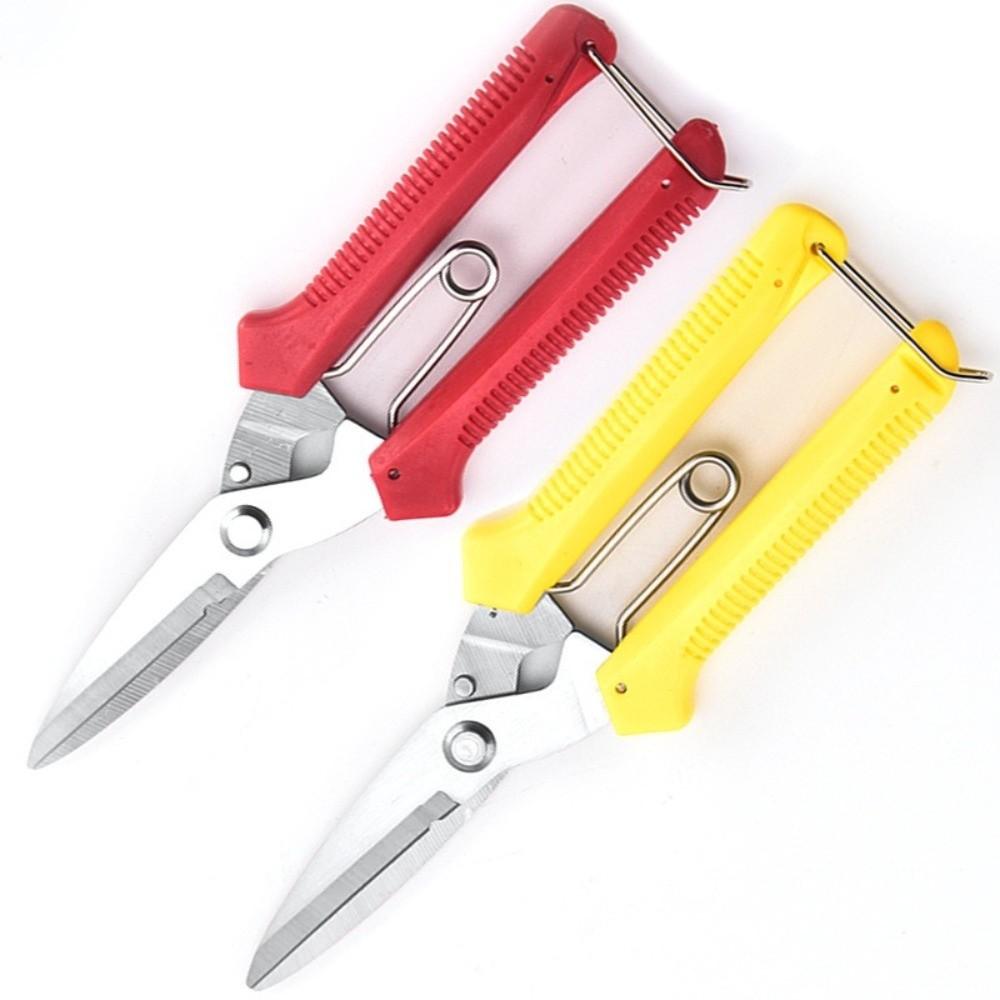 Stainless Steel Gardening Pruning Shears Precision Cutting Hand Pruner Branch Shears Fruit Tree