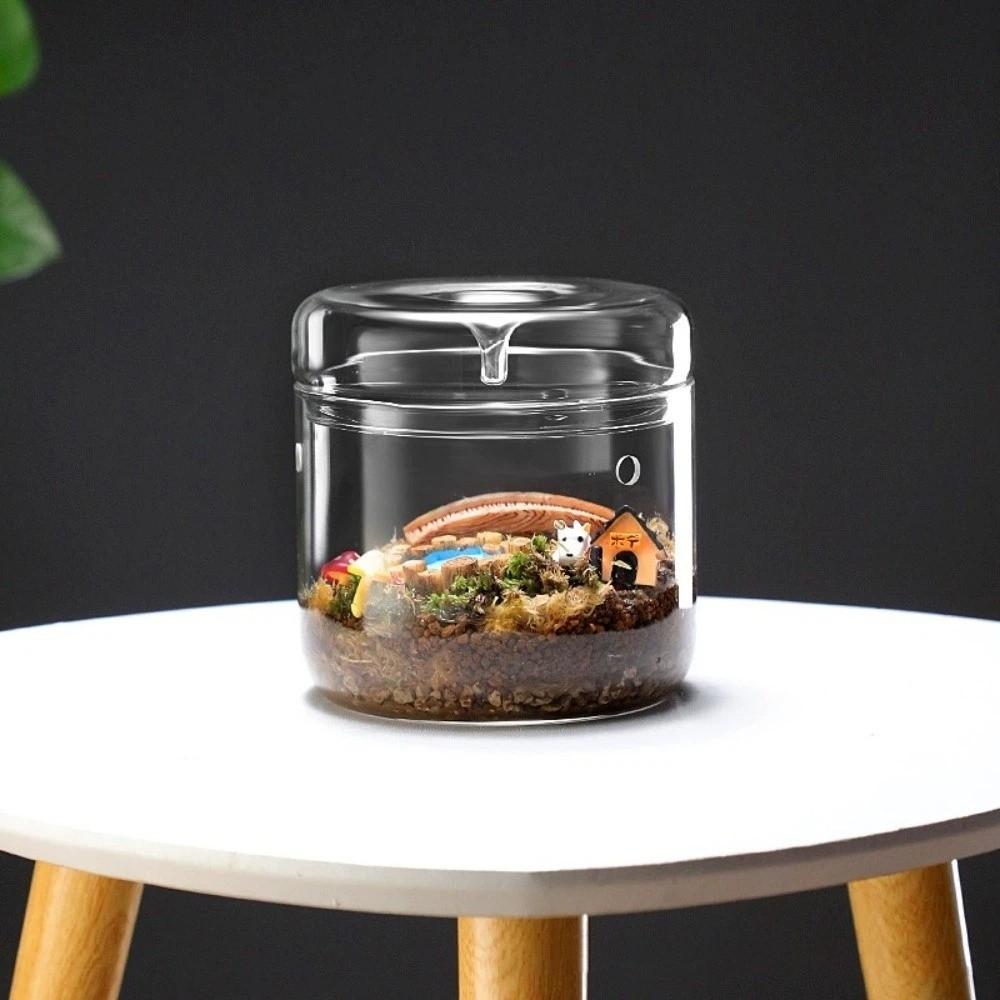 Transparent Glass Terrarium Cylinder Perforated Cover Desktop Glass Vase Decorative Succulent Moss Viewing Bottle Desktop Decor
