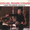 LP Record HERBERT VON KARAJAN, WIENER PHILHAR - R. Strauss: Don Juan, Till Eulenspi K15C8042 LONDON 1980 Japan Classical Used